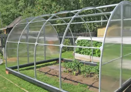 Теплица Орех шаг 65 см