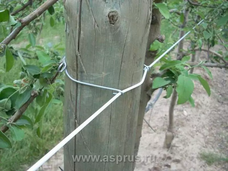 Агрошпалера (пластиковая проволока) фото 7