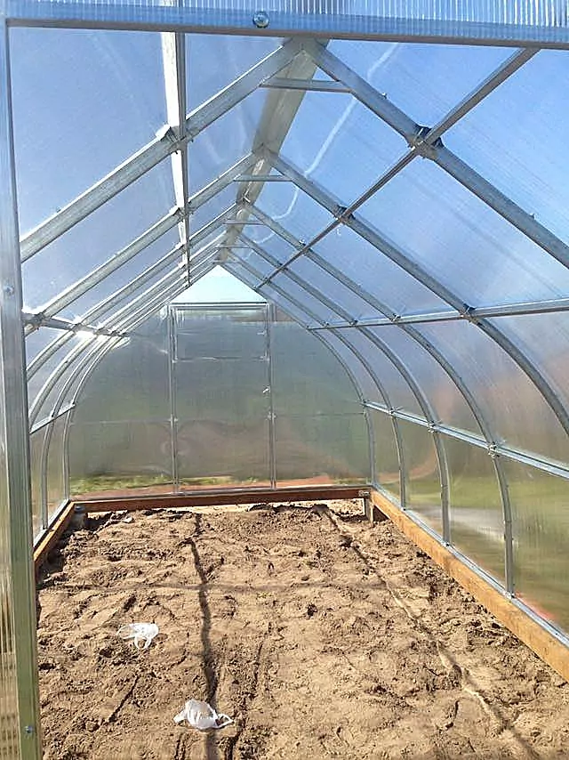 Купол фото 7