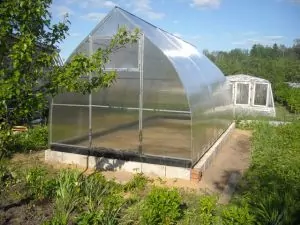 Купол фото 2