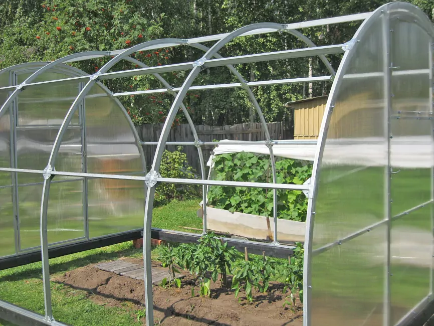 дачный вариант теплицы