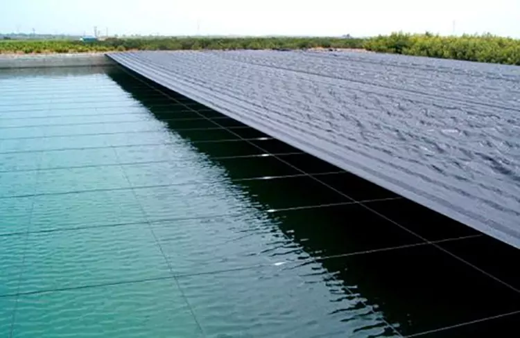 Агрошпалера (пластиковая проволока) фото 9