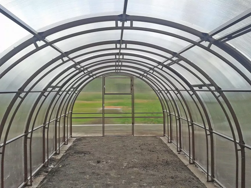 Орех-2 шаг 65 см фото 4