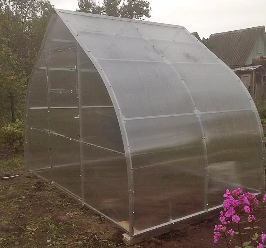 Купол фото 8