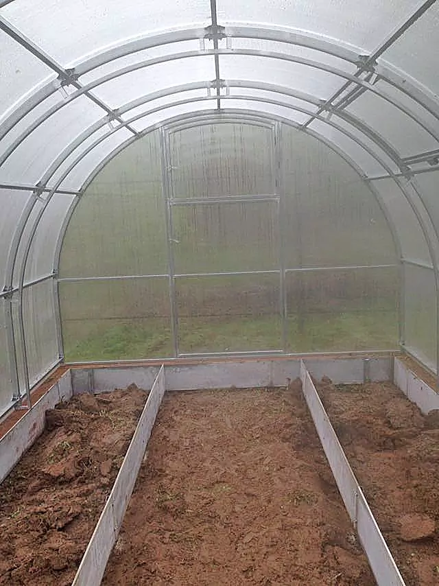 Орех-2 шаг 65 см фото 5