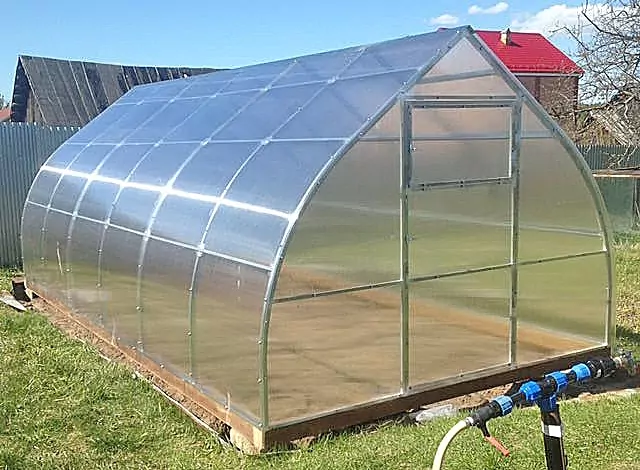 Купол фото 6