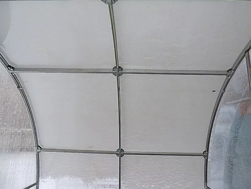 Подвязка в теплице фото 4