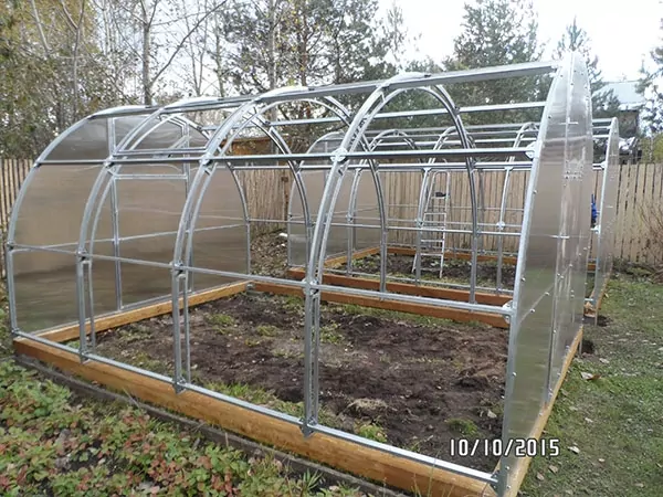 Орех-2 шаг 65 см фото 8