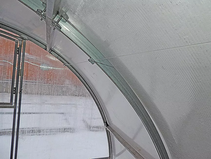 Подвязка в теплице фото 5