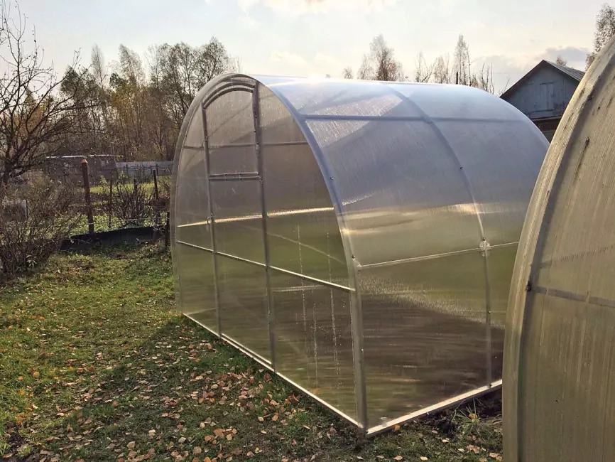 Орех-эконом фото 4