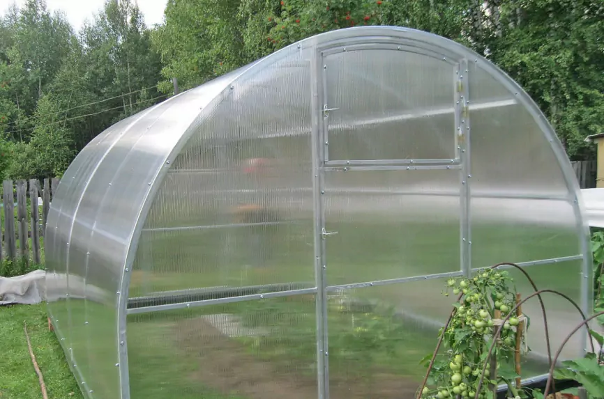 Орех-2 шаг 65 см фото 11