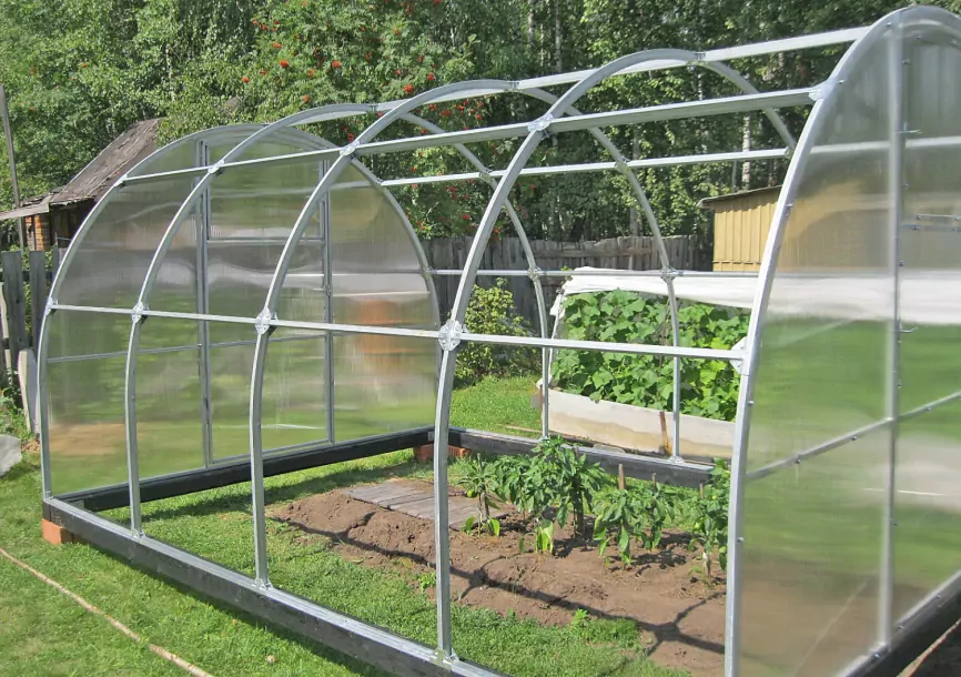 теплица орех