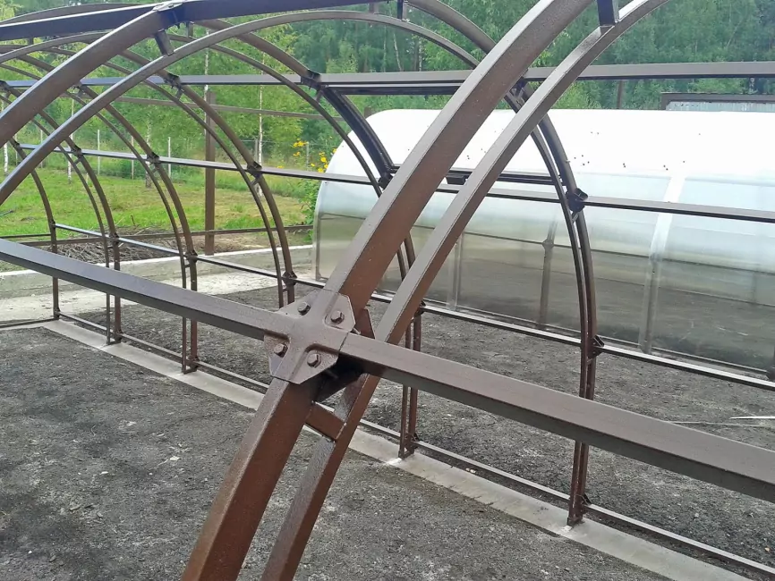 Орех-2 шаг 65 см фото 1