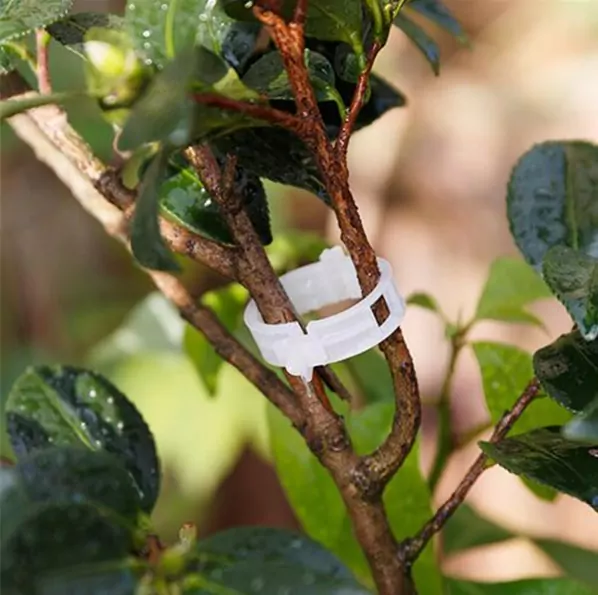 Клипсы для фиксации растений на шпагате фото 5