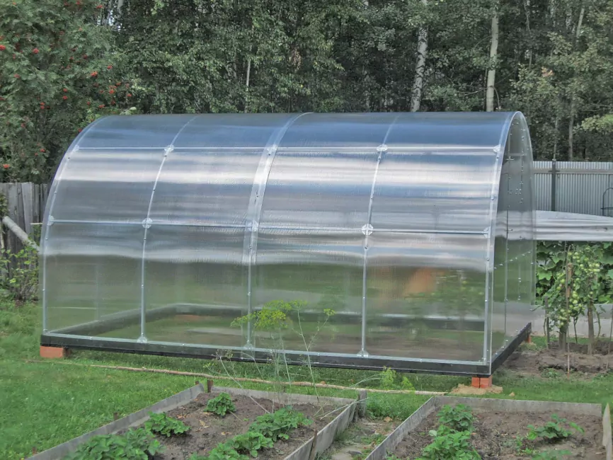 Орех-2 шаг 65 см фото 10