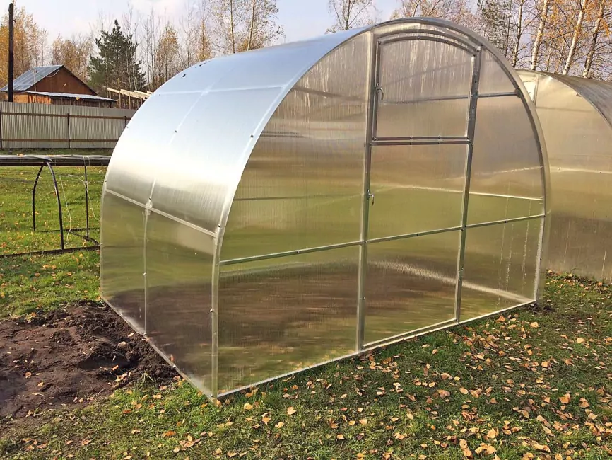 Орех-эконом фото 3