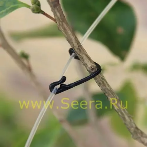 Клипсы для растений "Пряжка" фото 1