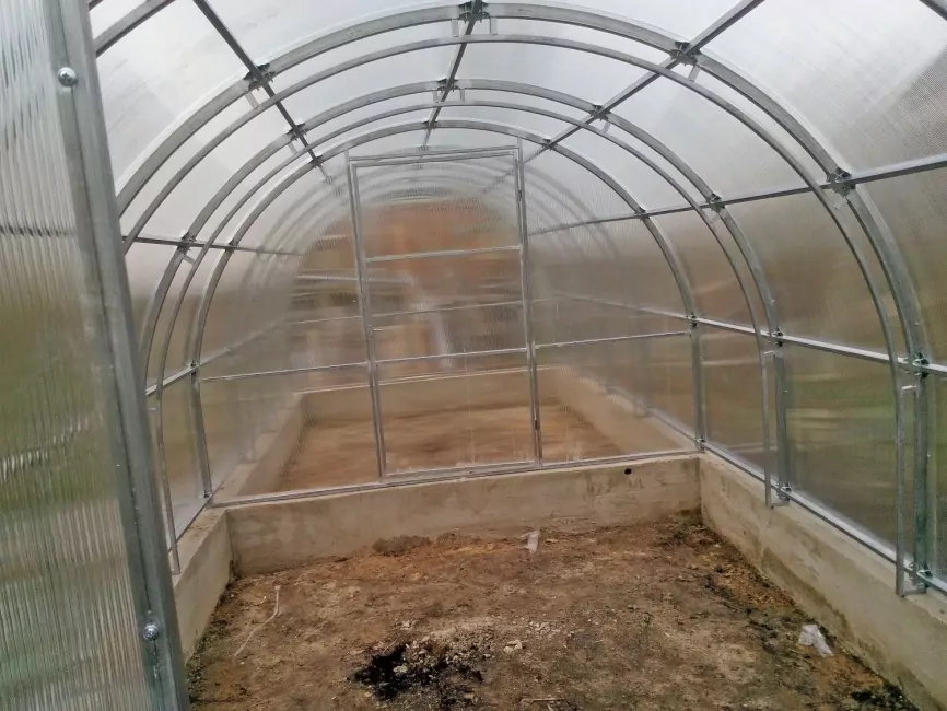 Орех-2 шаг 65 см фото 3