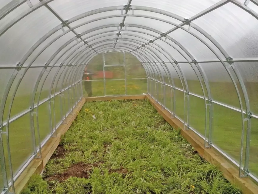 Орех-2 шаг 65 см фото 2