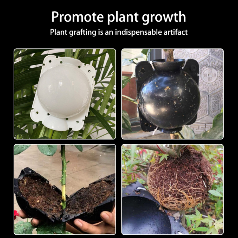 Прививочный шар